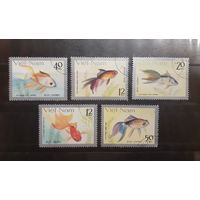 Вьетнам. Фауна. Рыбы (14)