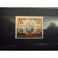 Британская колония Южная Африка флора (3-7)