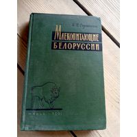 Млекопитающие Белоруссии\16д