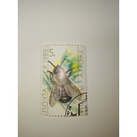 Марки СССР 1989 ПЧЁЛЫ 5к.