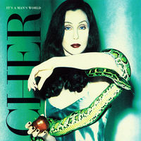 Cher It's A Man's World