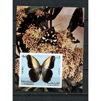 Шарджа - 1972 - Бабочки - (пятна на клее) - [Mi. bl. 118] - 1 блок. MNH.  (Лот 58Jo)-T4P27
