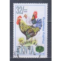 [2270] Кения 1995. Фауна.Домашние птицы.Куры.Петух. Гашеная марка.
