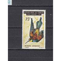 Фауна. Птица. Конго. 1967. 1 марка. Michel N 117 (4,0 е)