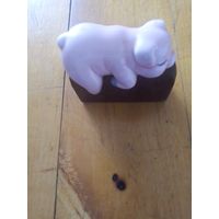 Поросенок на камне.