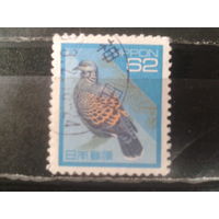 Япония, 1992. Восточная горлица