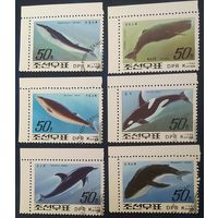 КНДР 1992 киты, животные моря.