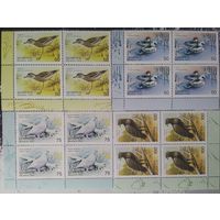 Беларусь 2000 Кв. Блоки птицы.