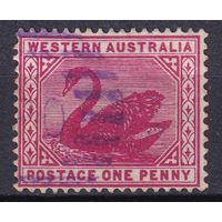 147.Aust. Великобритания. Австралийские штаты. Западная Австралия. Чёрный лебедь. Стандарт. 1890/93 гг. 1p. Mi.#34.
