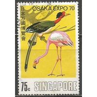 Сингапур. Птицы. Красный фламинго. 1970г. Mi#114.