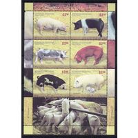 Аргентина 2011. Домашние животные. Свиньи малый лист 3439