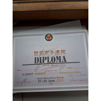 Диплом спортивный Карате