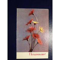 Поздравляю!  Цветы.  1970 г.  подписанная.  двойная.