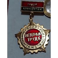 Значок " Ветеран труда "