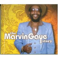 2CD The Marvin Gaye Story (17 juli 2001)