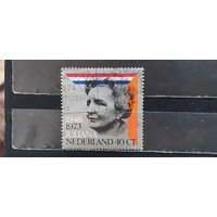 РАСПРОДАЖА НИДЕРЛАНДЫ 1973г. Полная серия. Гаш.