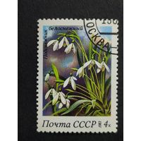 1983 СССР. Флора. Цветы. Подснежник белоснежный