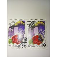 1990 СССР. Сохраним родную природу! Воздушный бассейн