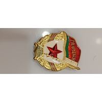Гвардия 103 ОМОББР