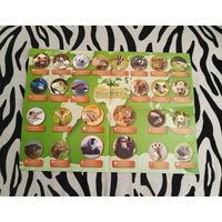 Плакат Твои веселые зверята