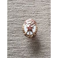 Знак ДОСААФ ссср