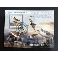 Коморы 2009 ФАУНА  ЖИВОТНЫЕ ПТИЦЫ РЫБЫ  БЛОК сто