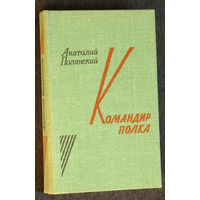 Анатолий Полянский Командир полка.