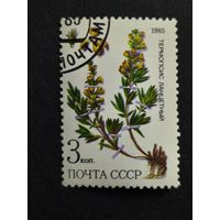 1985 СССР. Охраняемые лекарственные растения Сибири. Термопсис ланцетный