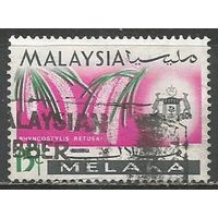 Малайские штаты(Малака). Цветы. Орхидеи. 1965г. Mi#71.