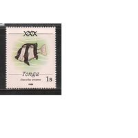 Тонга -1992(Мих.1202) , ** , Морская фауна,Рыбы, Надп. (одиночка),