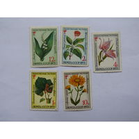 Лекарственные растения.