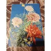 Открытка,телеграмма,подписана