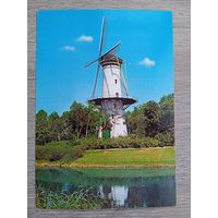 Мельницы. Голландия