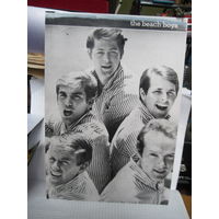 Фотография The Beach Boys. Торги!