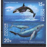 Россия 2012. Киты. 2м сцепка 1556-57 (907)