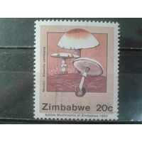 Зимбабве, 1992 Грибы