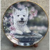 Фарфоровая настенная тарелка SammlerFactum Где воробей?. Германия. 20.5 см