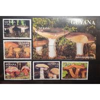 Гайана. 1991 год. Флора. Грибы. Блок и 5 марок (988)