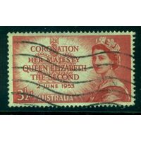 Австралия - 1953 [Mi. 231] Гашеная (AU03)