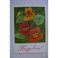 Курьерова Л., Поздравляю; 1982, чистая, ДМПК, АВИА.