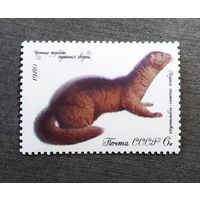 Марка СССР 1980 год Пушные звери