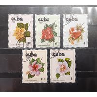 Куба. 1978 год. Флора. Цветы (1288)