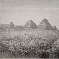 Гравюра конец 19в.-20в.   21х17см.