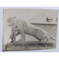 Фото в коллекцию