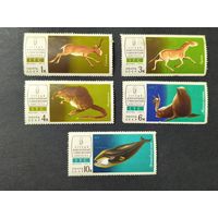 1974 СССР. 1-й Международный териологический конгресс. Полная серия