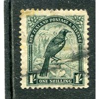 Новая Зеландия. Стандарт. Фауна. Новозеландская туи