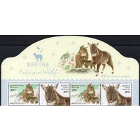 Южная Корея 2017. Фауна. Горал. 2 сцепки с верхним полем Mi 3185-86