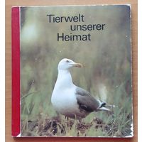 Tierwelt unserer Heimat