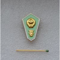 Поплавок об окончании сельскохозяйственного техникума СССР. ММД. Легкий.