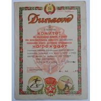 Диплом 2 степени.